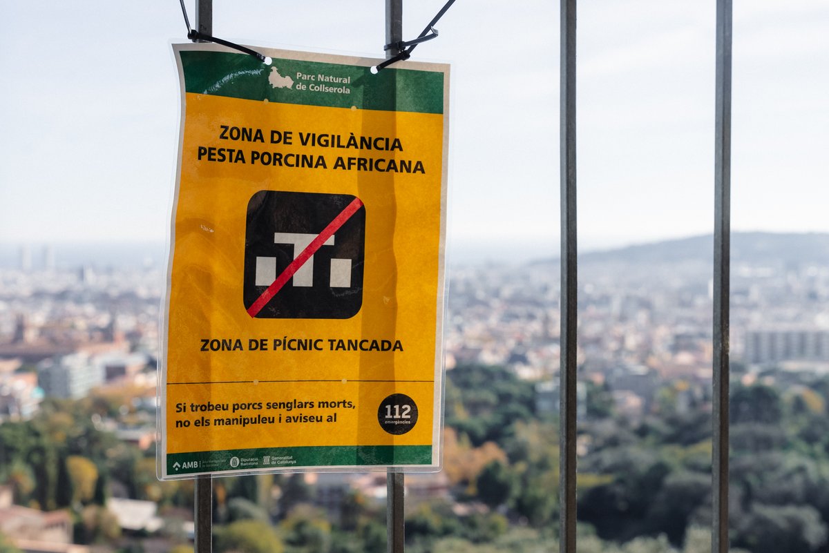 ⛔️ Restringides les activitats de lleure al Parc de Collserola. 

S'estableixen mesures de control, prevenció i bioseguretat arran de la detecció d'un focus de Pesta Porcina Africana en porcs senglars.

Més informació a barcelona.cat/infobarcelona/…