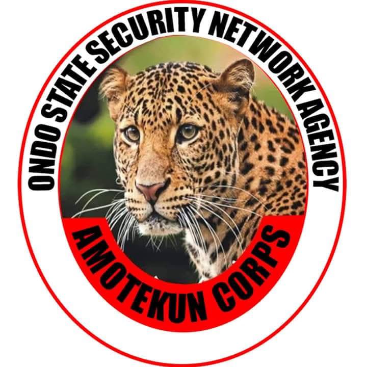 OndoStateOnline's tweet photo. ONDO STATE SECURITY NETWORK AGENCY AMOTEKUN CORPS

5th BATCH RECRUITMENT EXERCISE (BR05)

1. Preamble

The Ondo State Security Network Agency, Amotekun Corps came into being on the 4th of March, 2020 via a Law of the Ondo State House of Assembly and an amendment on the 13th of July, 2022. The objectives of the Agency include but not limited to the following:

i. Systematically gather, document, evaluate and analyze data and information to convert actionable intelligence for tactical operational and strategic goals; Investigate and Prosecute suspects

ii. Collaborate with similar security network agencies in other States, including but not limited to Ogun, Oyo, Osun, Ekiti and Lagos States to deter kidnapping, terrorism, cattle-rustling, destruction of farms and crops, destruction of livelihood, criminal damage to properties, human trafficking, cultism, highway robbery, sea piracy, oil bunkering and any other criminal offences and to assist other law enforcement agencies in apprehending such criminals;

iii. Protect lives and property within the State;

iv. Ensure that all persons travelling along the highways, major roads, remote areas, hinterland, forests, inland waterways, and sea are free to carry out their normal social and economic activities without fear or hindrance.

2. 5th Batch Recruitment Exercise (BR05)

In furtherance of the State Government's commitment to the protection of lives and property of the good people of Ondo State, approval has been given to recruit regular officers into the Corps.

Criteria

Interested and suitable applicants should:

Be an indigene of Ondo State, or have resided in Ondo state for 10 years upwards of Yoruba extraction, with evidence of the following:

a. Local Government of Origin

b. Proof of payment of development levy for at least 3 years

c. National Identity Card or valid Voter's Card

ii. Have cognate paramilitary/ security experience in addition to the following

a. Local Hunting, Artisanship in -Mechanical/Automobile Engineering, Building and Construction, Electrical and Electronics Engineering, Plumbing and Fittings, Welding and Fabrication, Painting, Tailoring and Trade Test in Driving and Works Superintendent Course, ICT (Web Design, Graphics Design) etc.

b. Spiritually endowed

Not below the age of 20 and have recent proof of physical and mental fitness from a Government Hospital.

iv. Show proof of endorsement of good character from a Notary Public and Chairman of Local Government Traditional Council, or Justice of the Peace (JP).

v. Have been resident in any part of Ondo State for at least 10 years and not less than 3 years in his/her current home address with attestation from any member of his/her Community Development Association.

3. Method and Submission of Application

a. Interested persons who meet the above criteria should visit the Agency's website at https://t.co/6lhmLeSXch as from Monday 1st of December, 2025 to Monday 8th of December 2025.

b. Completed forms with relevant credentials, attestations and documents should be submitted at the Command Headquarters in a sealed envelope addressed for the attention of the:

Corps Commander,
Ondo State Security Network Agency,
Command Headquarters,
Behind Reuben Fasoranti Park,
Alagbaka, Akure.

Submission of Forms ends on the 8th of December 2025, while shortlisted applicants shall be communicated via SMS as from the 8th of December 2025.

a. Enquiries: Additional information or clarifications could be obtained at the Agency's Office or call 08079999989.

Signed.
Muyideen Fabunmi,
For Corps Commander