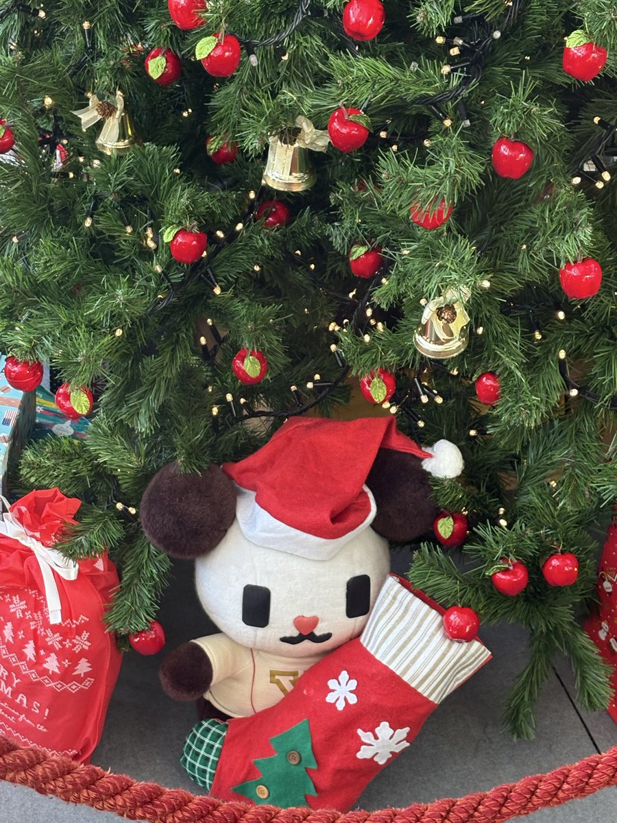 ゴーちゃん。 (@gochan_V) / Posts / X