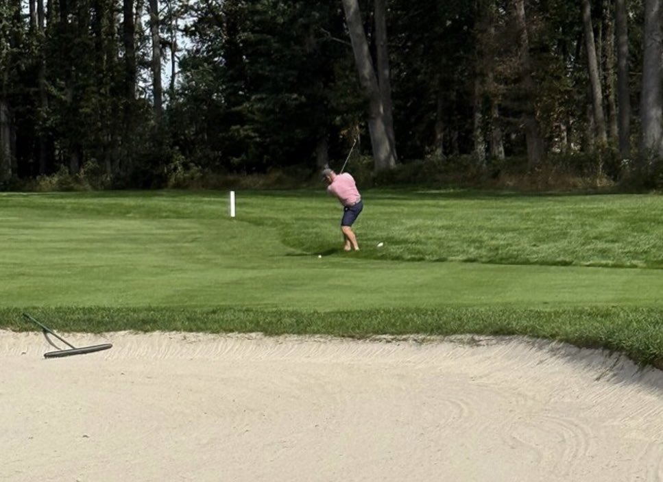 Preserved Links tweet media