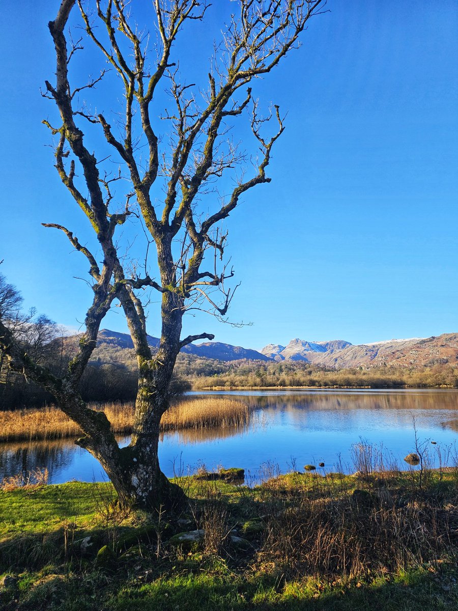 pnl25's tweet photo. There is quiet places to walk in the Lakes on a lovely sunny Sunday, hardly saw anyone 😀 #lakedistrict #Cumbria https://t.co/QrM2Hv8SlE