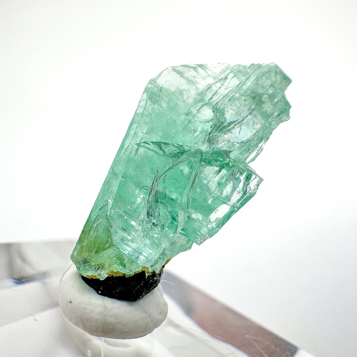 郁子IKUKO (@ttps60718) / Posts / X