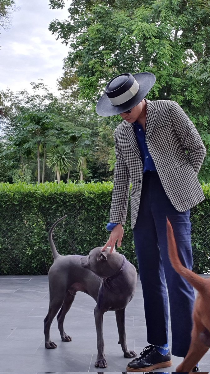 LoukgolfLG's tweet image. สำหรับหลายคนที่ถามมา ล่าสุดยังไม่เจอน้องออทั่มนะคะ ตอนนี้ทางบ้านเริ่มออกตาหา และลงประกาศแล้ว ใครเจอสุนัขหลังอาน สีเทา ตามรูป (ไม่ค่อยมีรูปเดี่ยวหน้าตรงเพราะไม่น้องชอบถ่ายรูป) โทรแจ้งคุณมะปราง 0864239656 นะคะ 

น้องหายไปช่วงน้ำท่วม แถวทุ่งลุง…