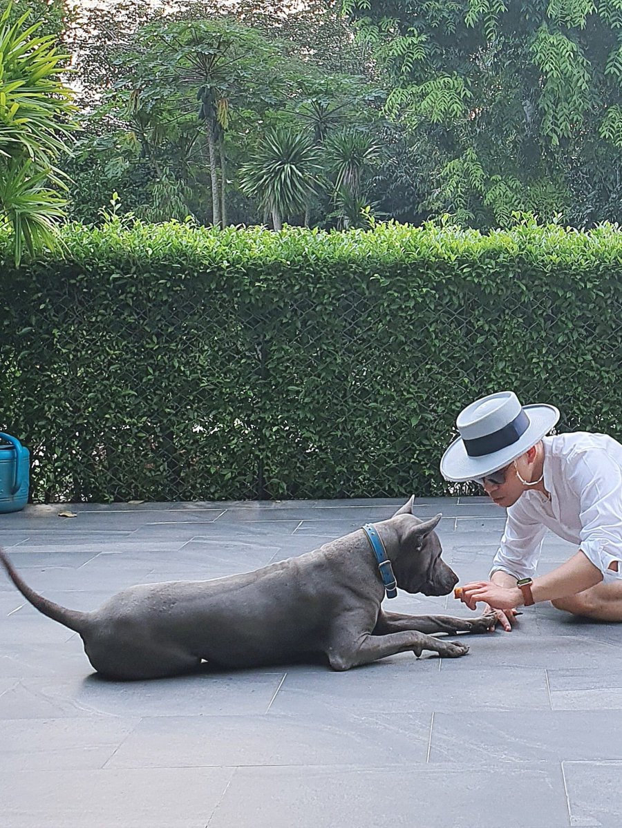 LoukgolfLG's tweet image. สำหรับหลายคนที่ถามมา ล่าสุดยังไม่เจอน้องออทั่มนะคะ ตอนนี้ทางบ้านเริ่มออกตาหา และลงประกาศแล้ว ใครเจอสุนัขหลังอาน สีเทา ตามรูป (ไม่ค่อยมีรูปเดี่ยวหน้าตรงเพราะไม่น้องชอบถ่ายรูป) โทรแจ้งคุณมะปราง 0864239656 นะคะ 

น้องหายไปช่วงน้ำท่วม แถวทุ่งลุง…