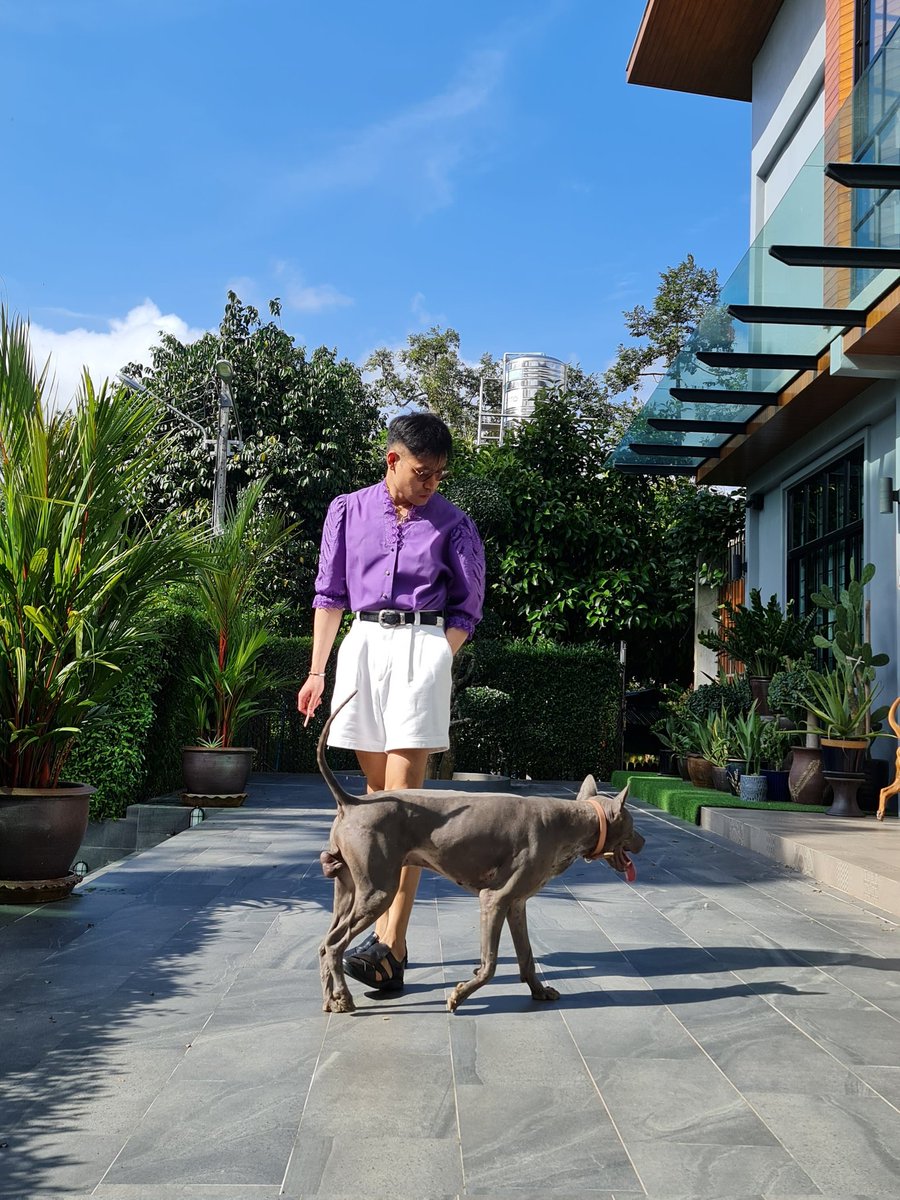 LoukgolfLG's tweet image. สำหรับหลายคนที่ถามมา ล่าสุดยังไม่เจอน้องออทั่มนะคะ ตอนนี้ทางบ้านเริ่มออกตาหา และลงประกาศแล้ว ใครเจอสุนัขหลังอาน สีเทา ตามรูป (ไม่ค่อยมีรูปเดี่ยวหน้าตรงเพราะไม่น้องชอบถ่ายรูป) โทรแจ้งคุณมะปราง 0864239656 นะคะ 

น้องหายไปช่วงน้ำท่วม แถวทุ่งลุง…