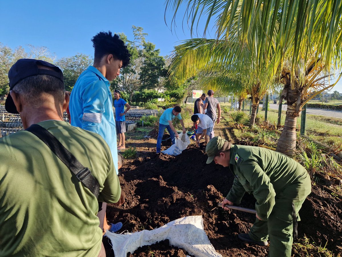 Mañana de trabajo para el sembrado de ortalisas desde el organopónico 5 palmas en #Bayamo #ProvinciaGranma