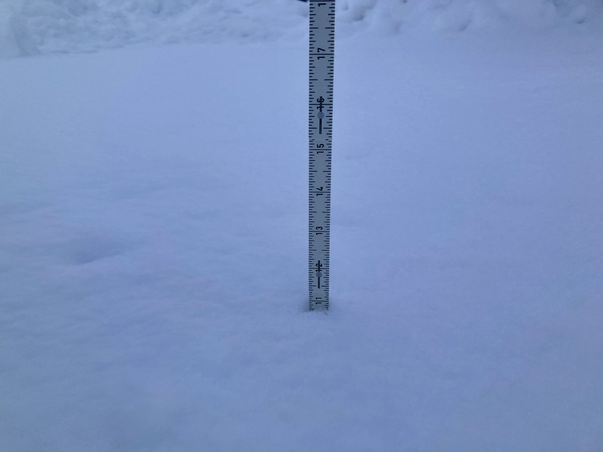 SikoraDon's tweet photo. @SamKuffelWx @NWSMilwaukee Somers, northeast Kenosha County. 7 AM Sunday morning. About 11 inches, but there were two more inches on the car from last night so I expected this measurement to be higher. Snow seems to be compacting and is now very wet and turning slushy at the ground. Very light snow now https://t.co/2B0OHOAVVk