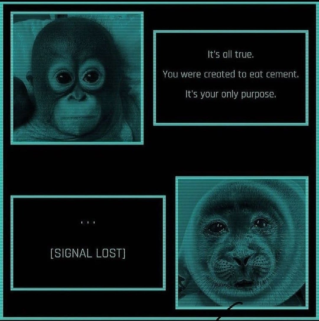 Everytime I see this image I get so unbelievably upset