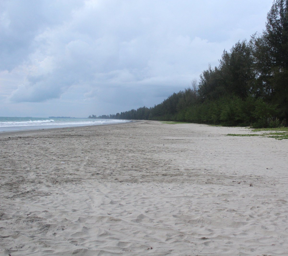Pantai di kampung kami membentang dari Mangkir di utara ke Sindeas di Selatan. Dulu kalau mau ke sini, jalan menembus hutan, berpapasan dng aneka satwa. Sekarang harus minta izin kepada petugas keamanan perusahaan sawit.

Negara membuatmu minta izin kepada pembabat kampungmu.