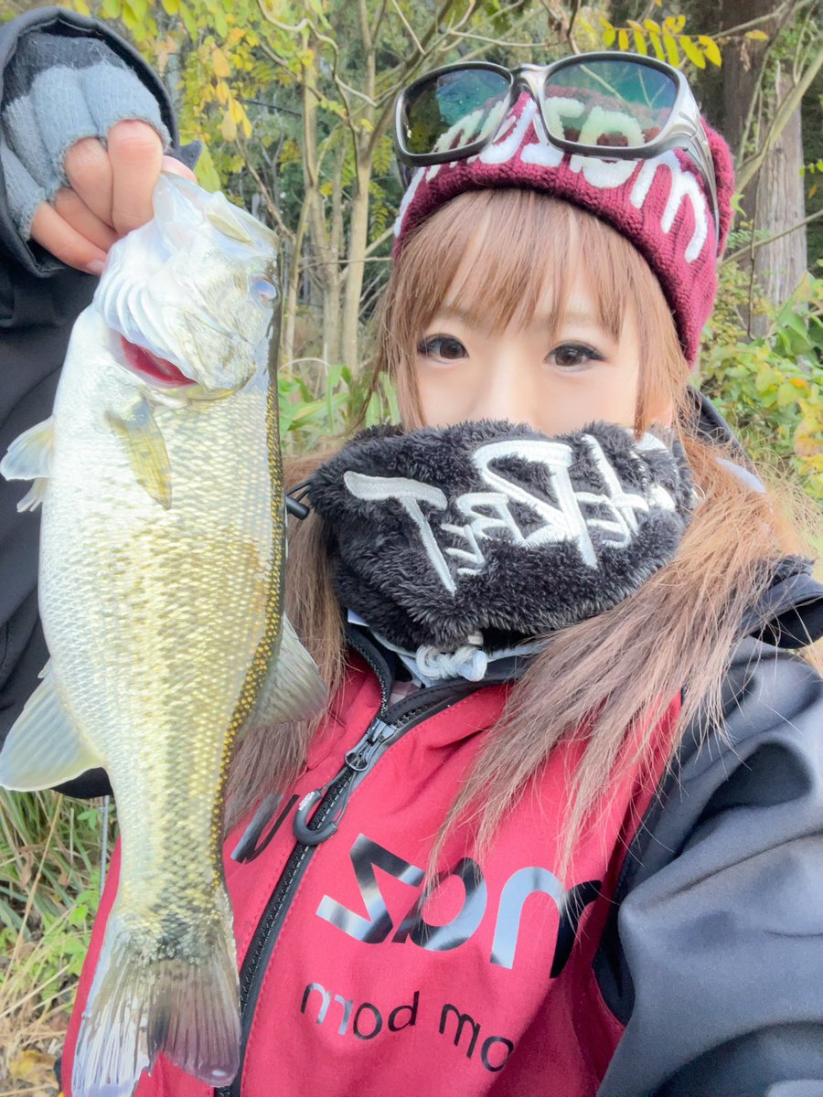 あーちゃん (@ayachibita) / Posts / X