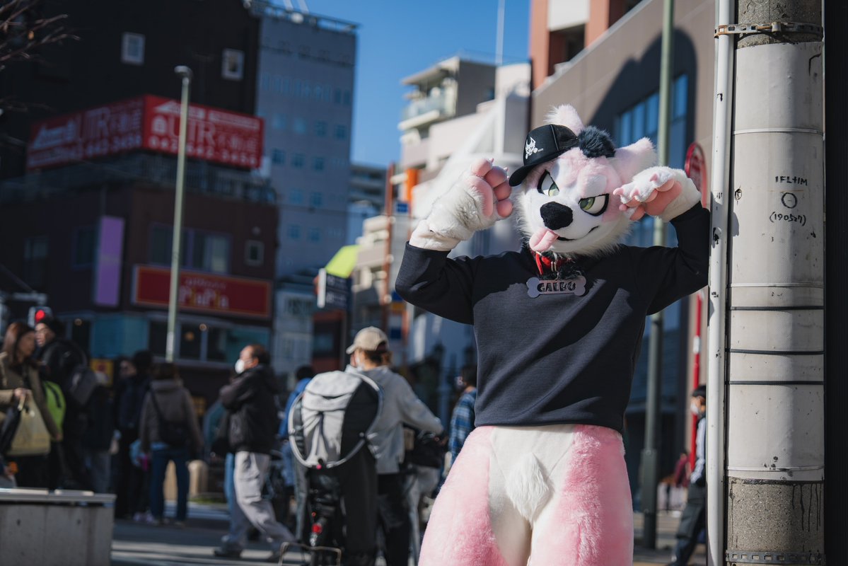 ゆったりできてﾛｹｰｼｮﾝも素敵でとても良ｶｯﾀ~~~~~~~~~~~~🥳

#FLiP