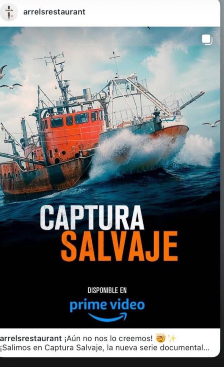 En España celebran aparecer en Captura Salvaje, nosotros celebramos que a partir de ahora día a día serán más personas las que conozcan nuestra actividad, nuestra provincia y nuestro excelente langostino salvaje. Mucho por festejar !!!!