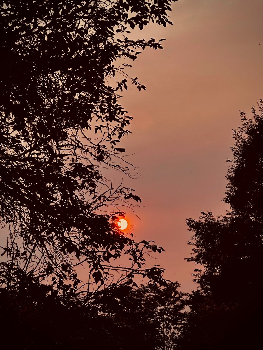 sonisfood's tweet image. Let&apos;s see some beautiful sunsets this Sunday!
Quote your best shots with #SunsetSunday