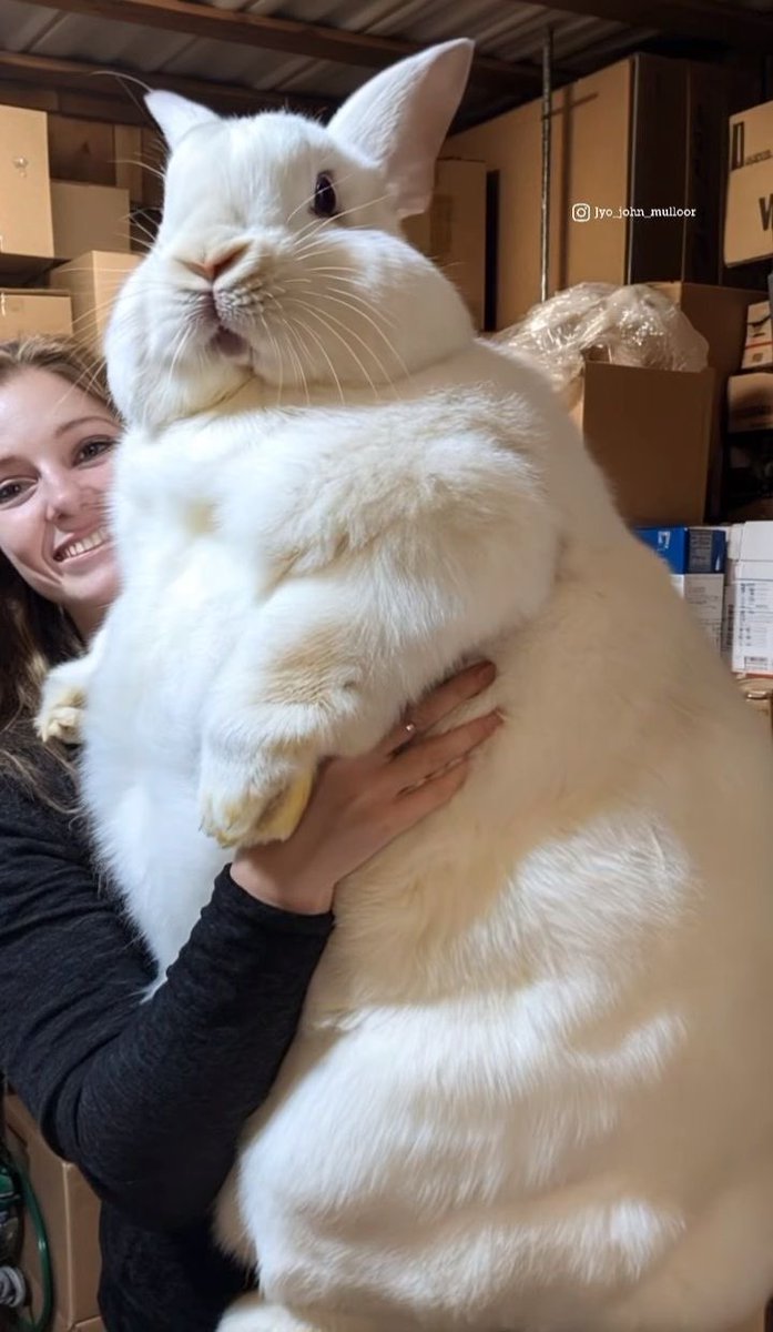 ตัวใหญ่ไปมั้ยถ้าจะเป็นจูดี้