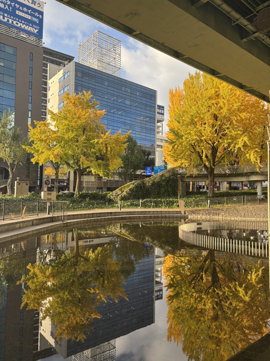 TWU20180401's tweet photo. 毎日、通勤で通る若宮大通は隠れた紅葉の名所です（2025年11月28日撮影）

#NagoyaPhotoPost https://t.co/LcoXicblfu