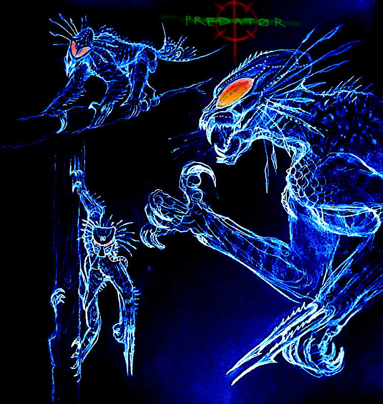 My take on the Original #PREDATOR suit design