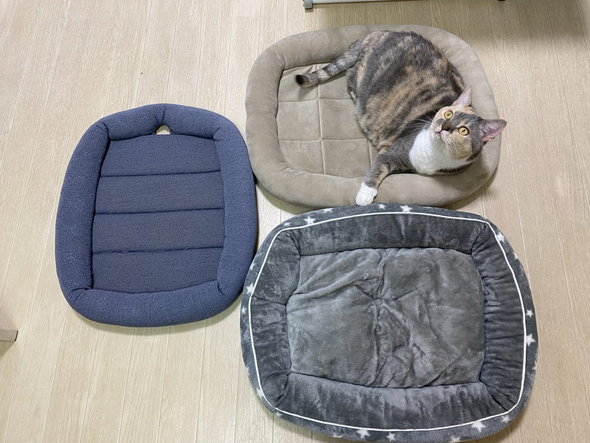 hasimo1046's tweet photo. それがいいんだね〜 https://t.co/AQNfKePJz5