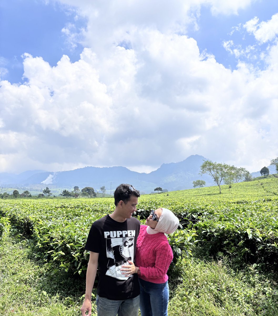 farahanshs's tweet photo. 🌤️🌱 https://t.co/jqgcI5Z1lI