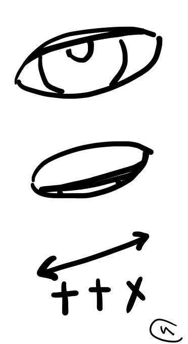 木偶様の目、昔のはわからないけれど、昨今の瞼は目頭側が下がっていて、目を閉じるときの動きがとんでもなく魅力的なの......はわかる