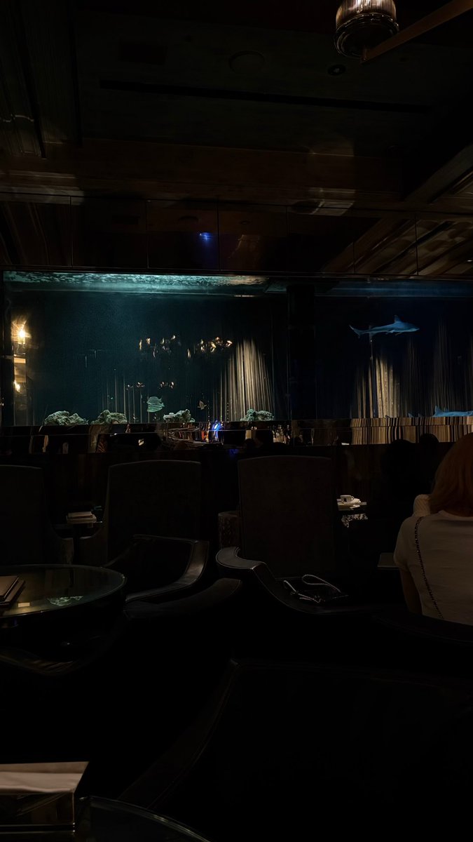 sdl4e's tweet image. 