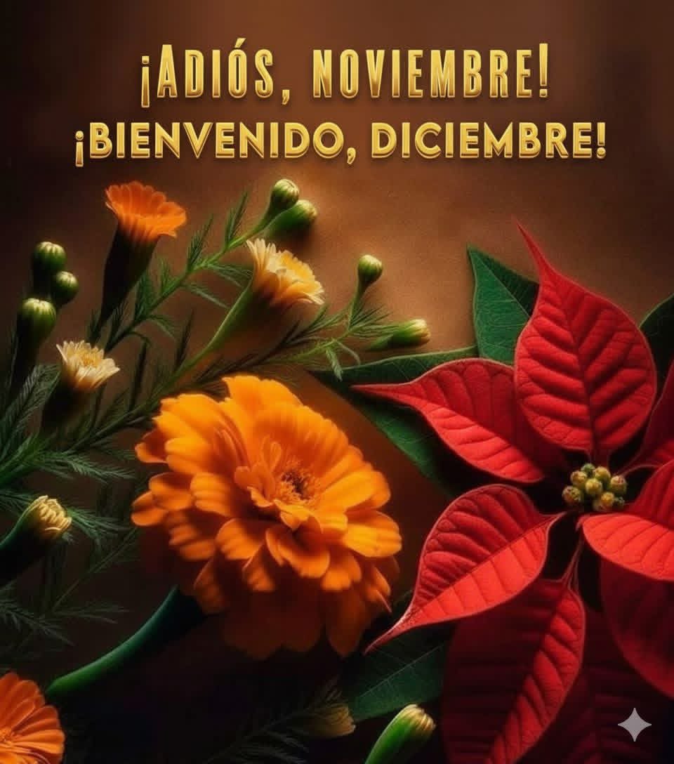 MartaEscalona65's tweet image. Despidamos con mucho amor 
el mes de #Noviembre para recibir 
con fe y esperanza al mes de Diciembre!
Que nos vaya bonito a todos . #BuenosDías