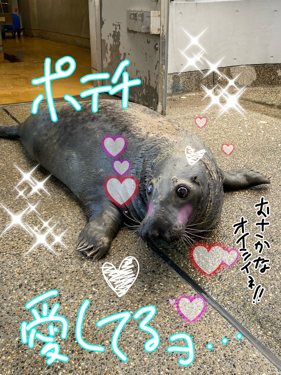平成の携帯待ち受け風ポテチ🤗🦭📱