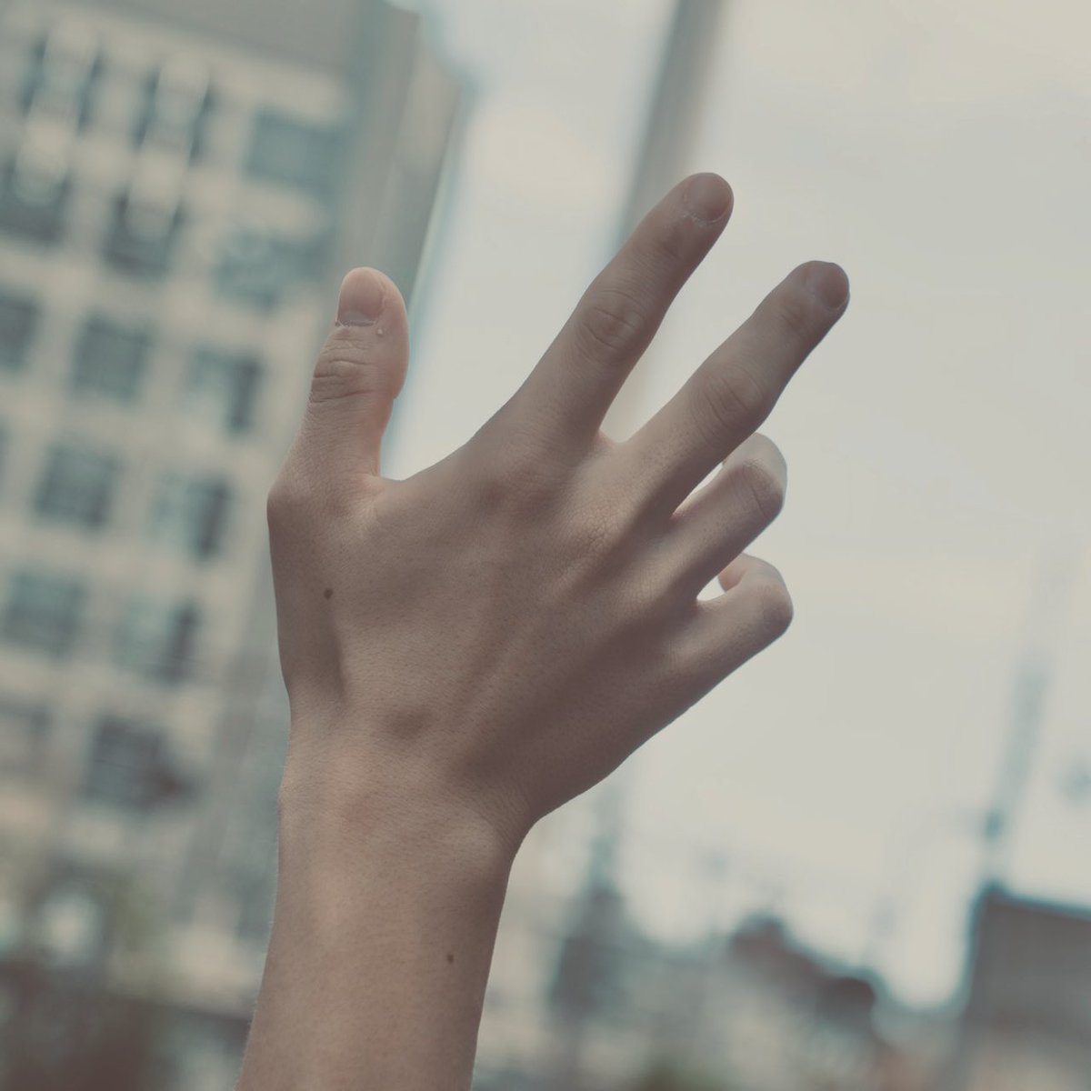 シンクマクラ tweet media