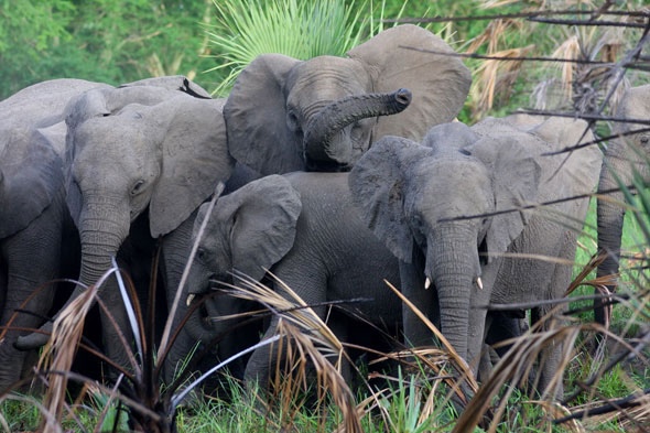 ¿Por qué viajar a Mozambique y Sudáfrica con nosotros?
viajesalpasado.com/por-que-viajar…