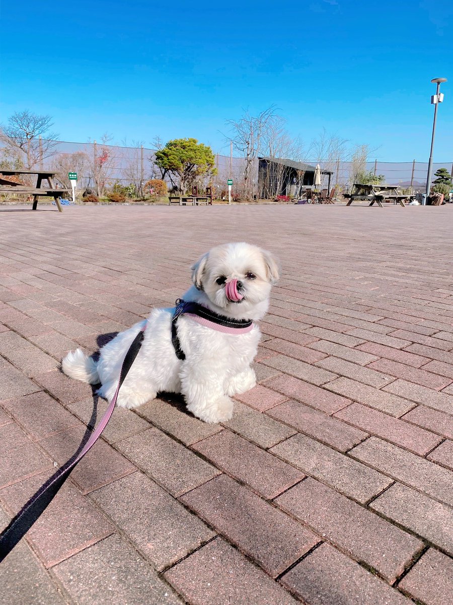 _momo_0710_'s tweet photo. お出かけしたよ〜☀️ https://t.co/n9e1EUE7AQ