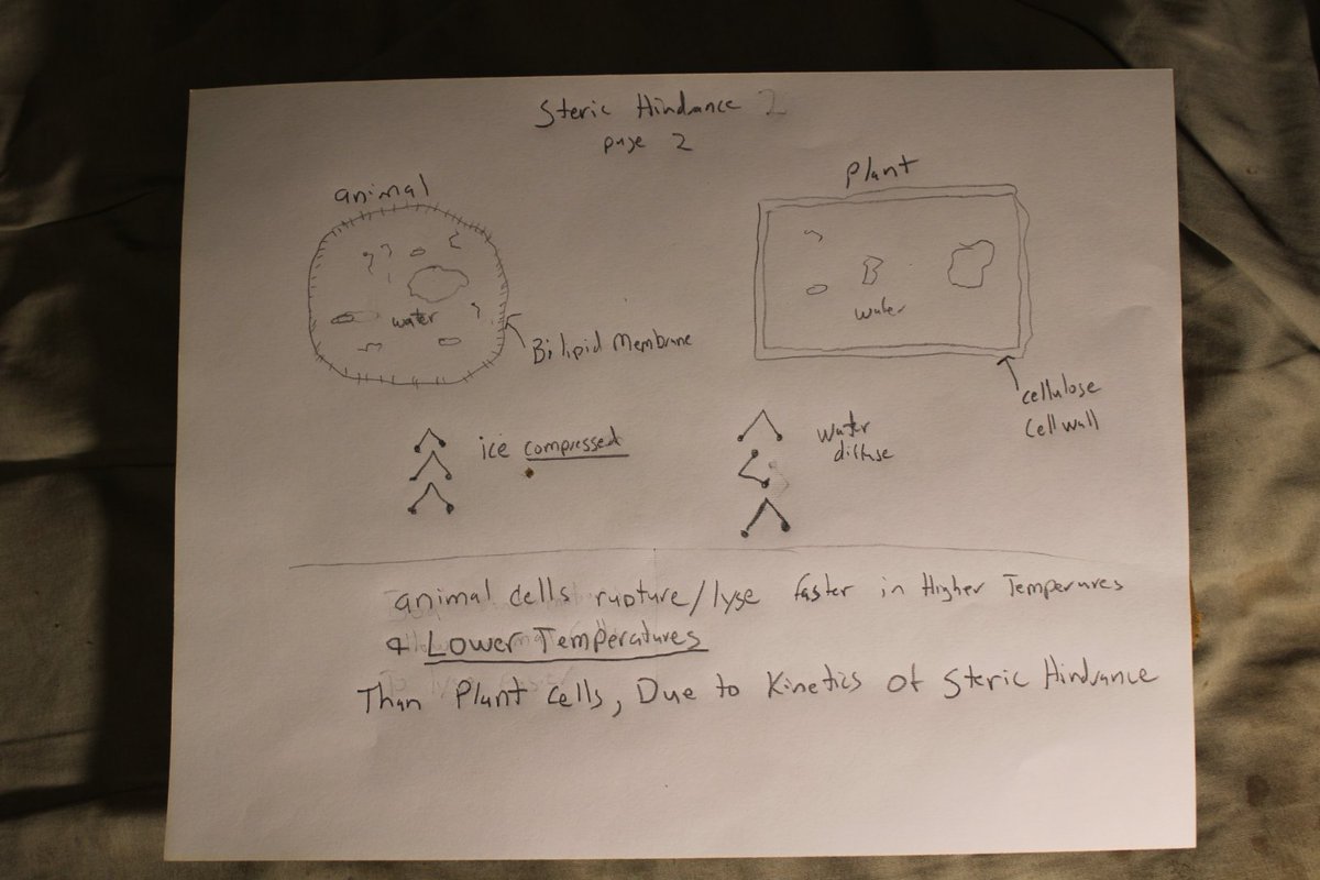 docsanderson's tweet image. #Scientists #Chemistry #BioChemistry #Kinetics #StericHindrance #Conformations #MacroMolecules #ClimateCrisis @danpeckwx @Ginger_Zee @esa
@Nature Animal Cells Rupture/Lyse Faster than Plant Cells Due to Kinetics of Conformation Transitions @ Higher Temperature &amp;amp; Lower Temperature