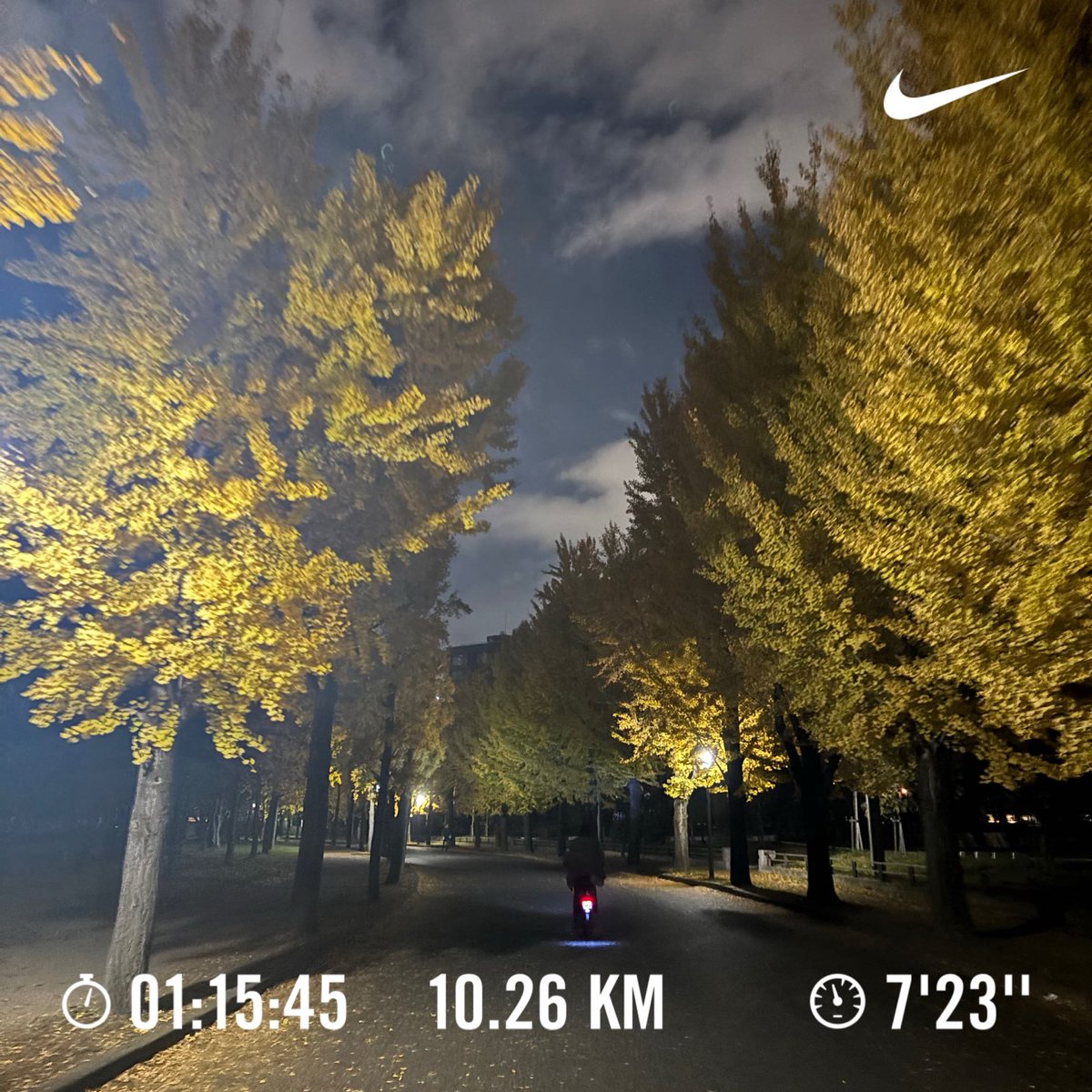 ot_mhmh's tweet photo. 紅葉がきれい！ https://t.co/66OgD8w1uC