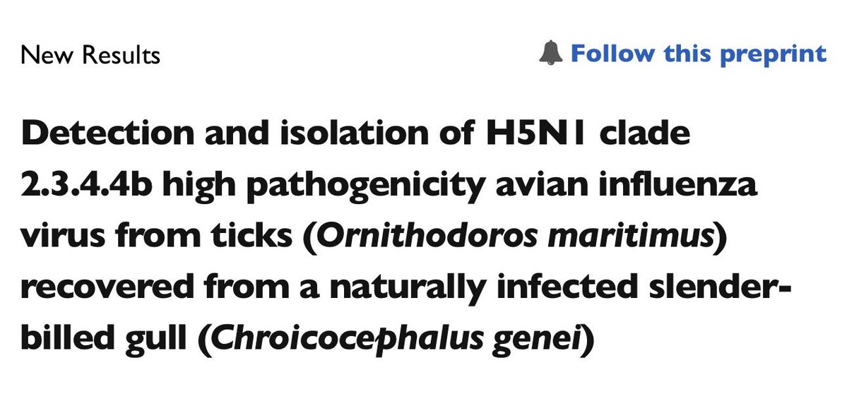H5N1 just leveled up. 

Scientists just pulled viable H5N1 2.3.4.4b out of soft-bodied ticks feeding on gulls. 

Up to 99.989 percent identity. 

Not passive contamination. 

A potential new vector. 

Influenza surveillance just got a lot more complicated.