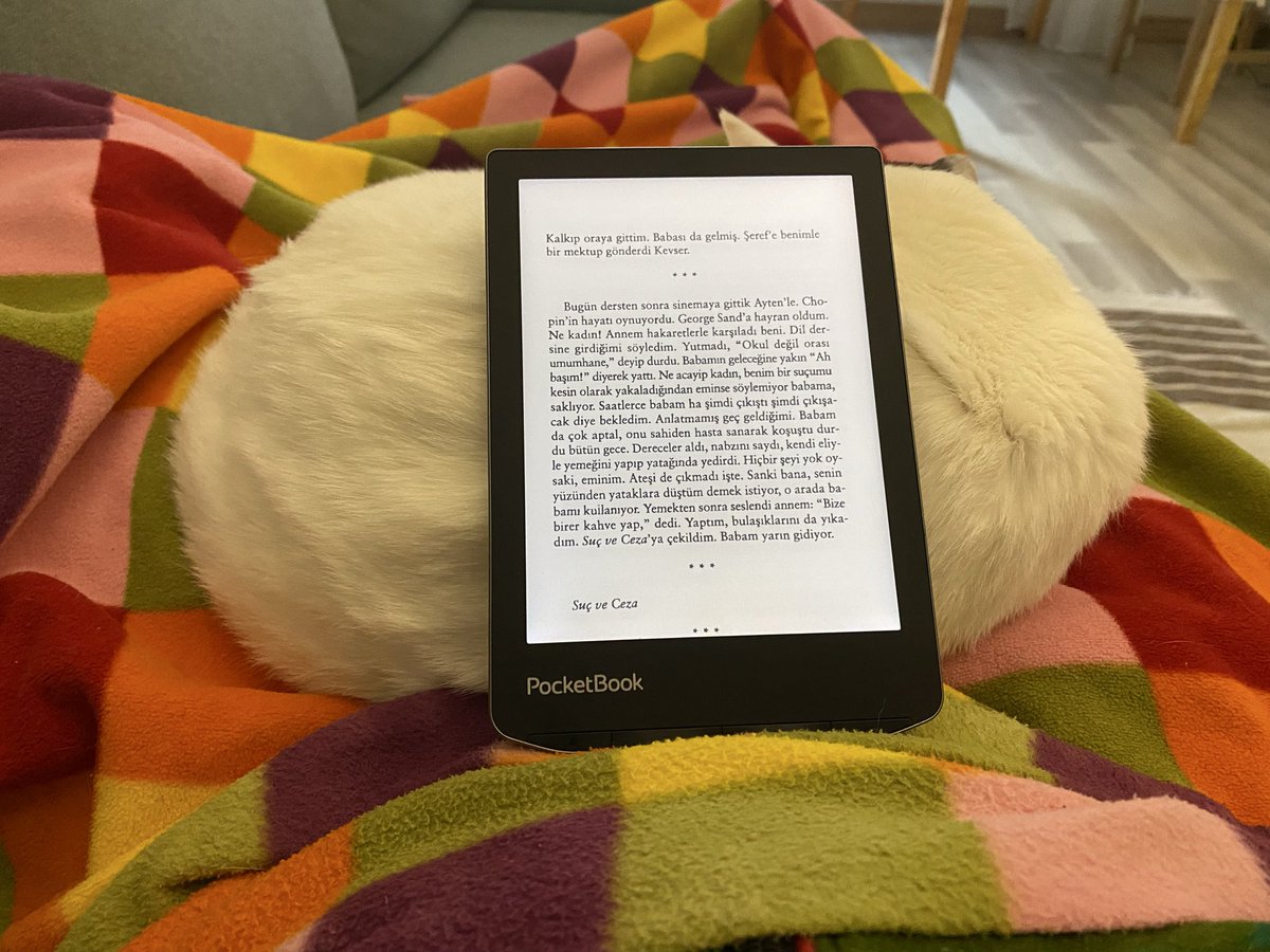 tuhaf bir kadın’ı okuyorum 🐱