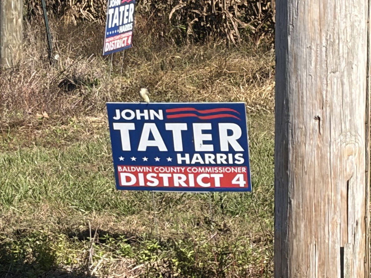 don't forget to vote for the tater