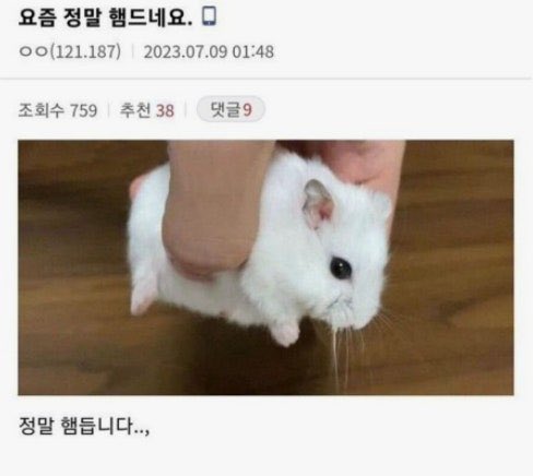 #포토그레이
MMA 너므 가고 싶어용,,🐒