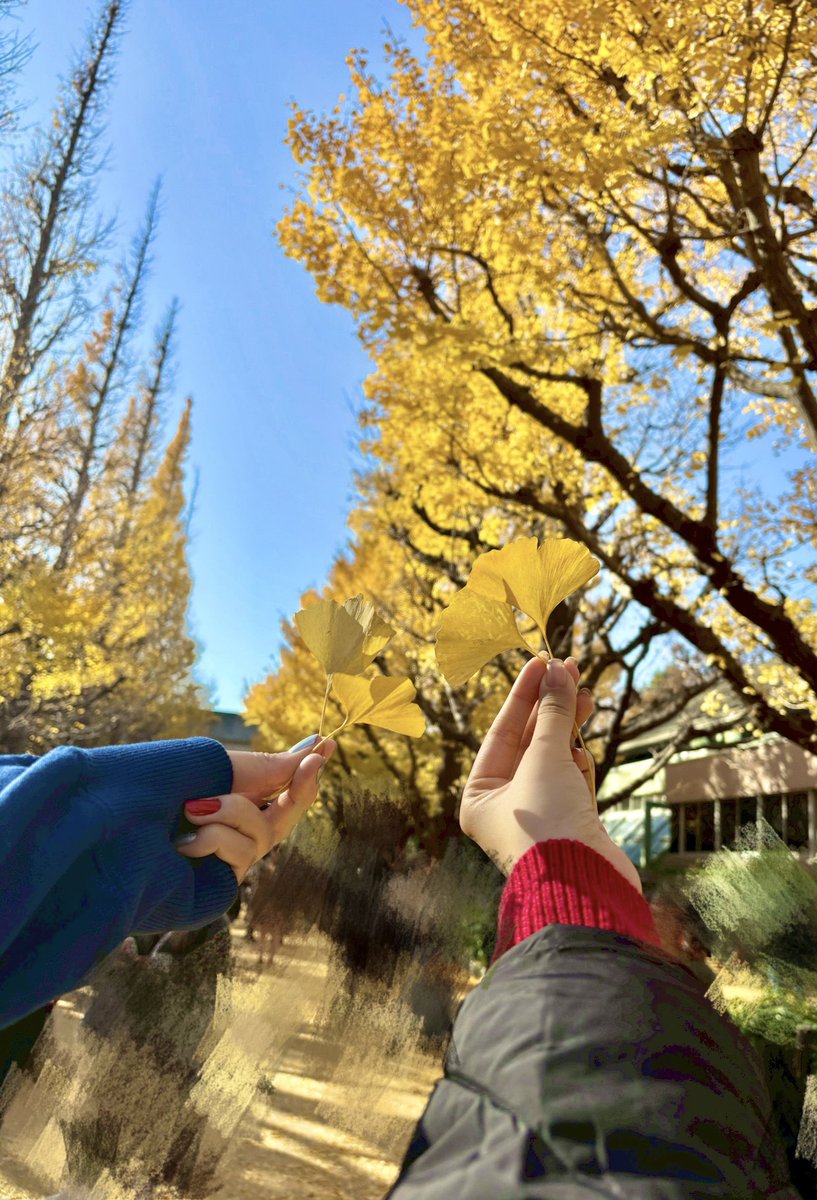 シャケナベイベ🐟 (@1aka_s) / Posts / X