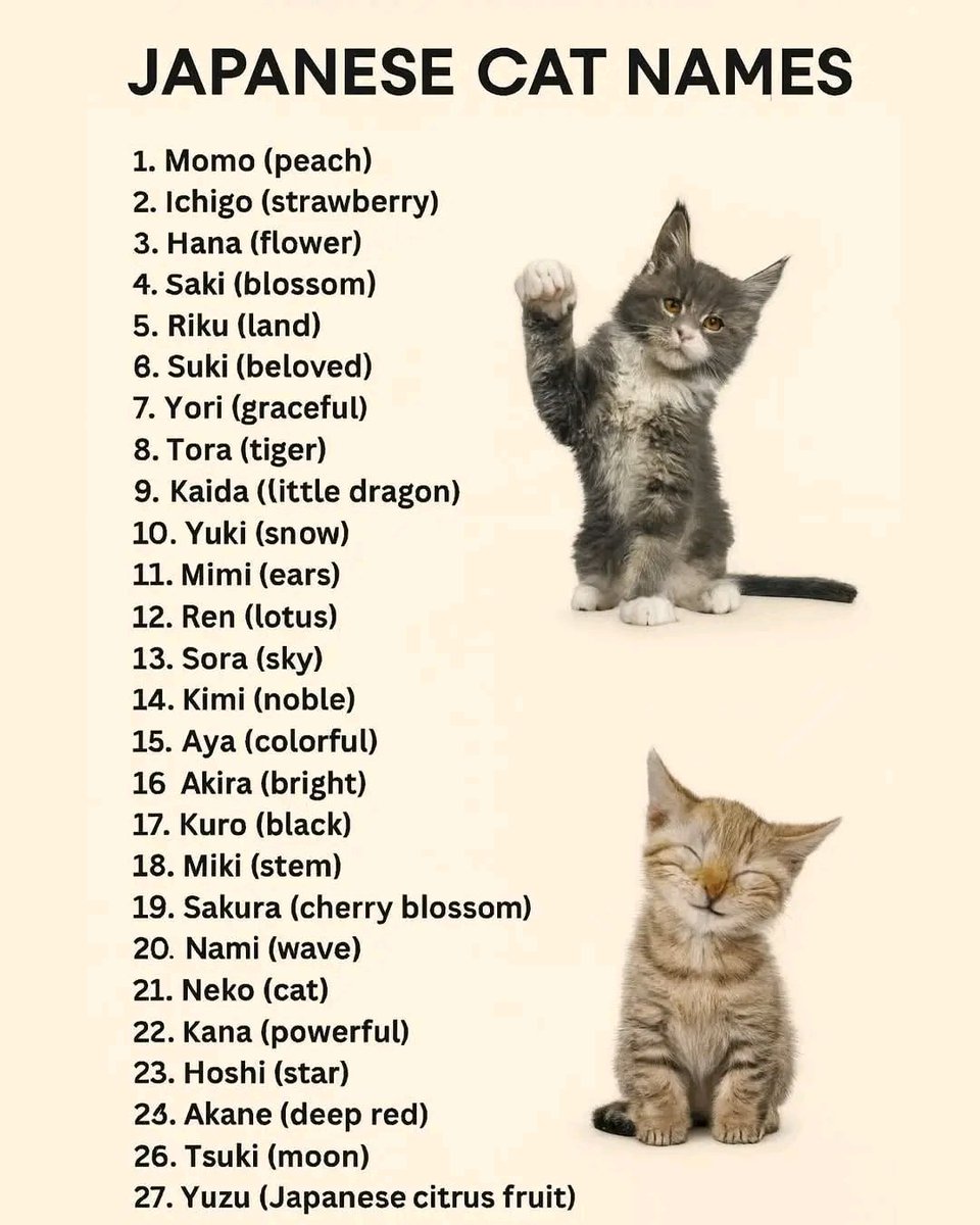 Tiofelino's tweet image. Me pasaron una lista de nombres en japonés que le puedes poner a un gatito y su significado 🇯🇵⛩️🐱🐾
