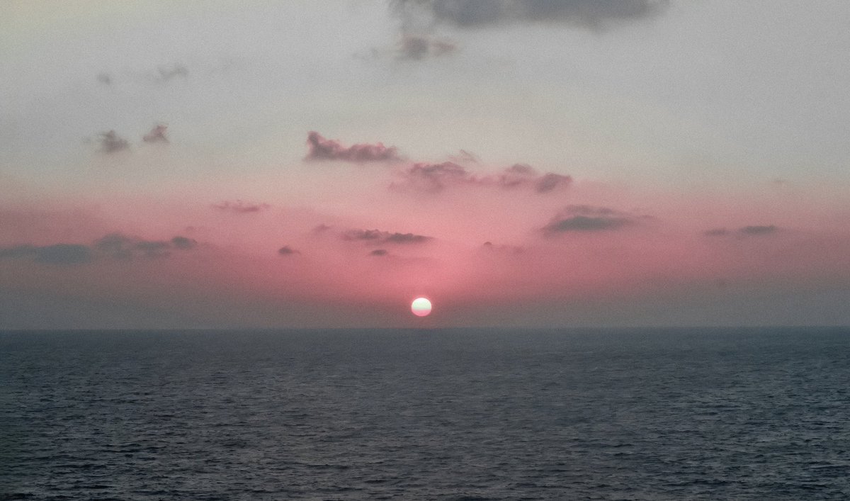 studio ghibli (@gardenofghibli) on Twitter photo 