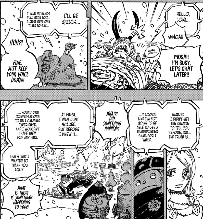 if she's really the person who was talking to Loki, that could mean bb pirates are attacking Fishman Island and trying to kidnap Shirahoshi rn.