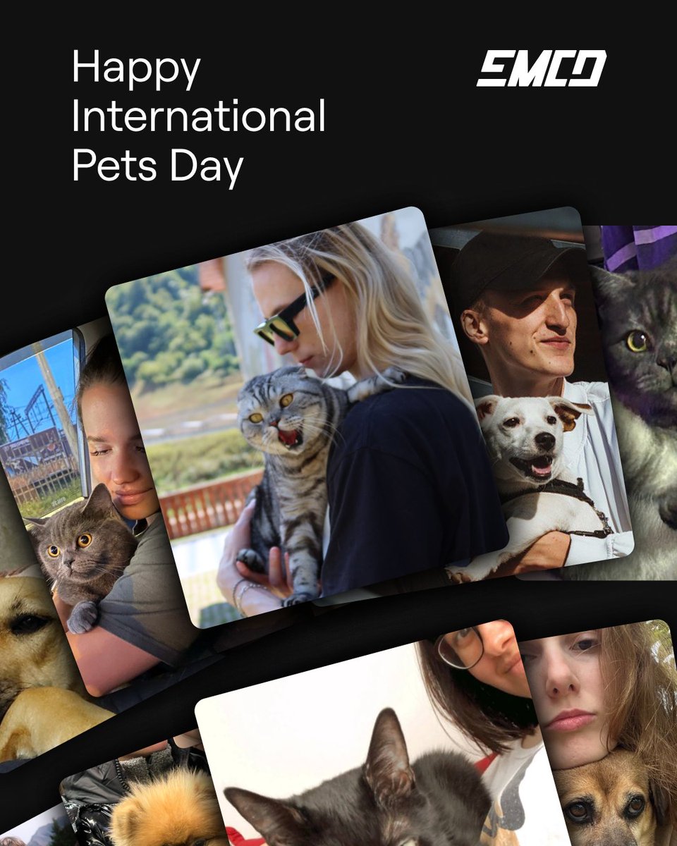 Happy International Pet Day! 🐶 🐱 
Drop pics of the friends who sit with you through every pump and dump.

We’ll go first 👇