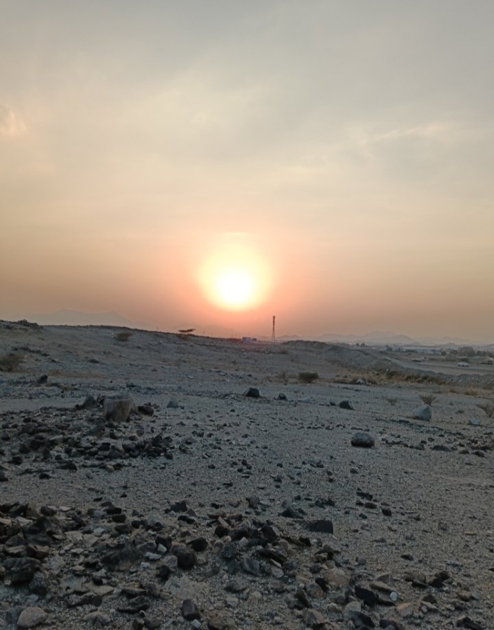 الافق البعيد S tweet media