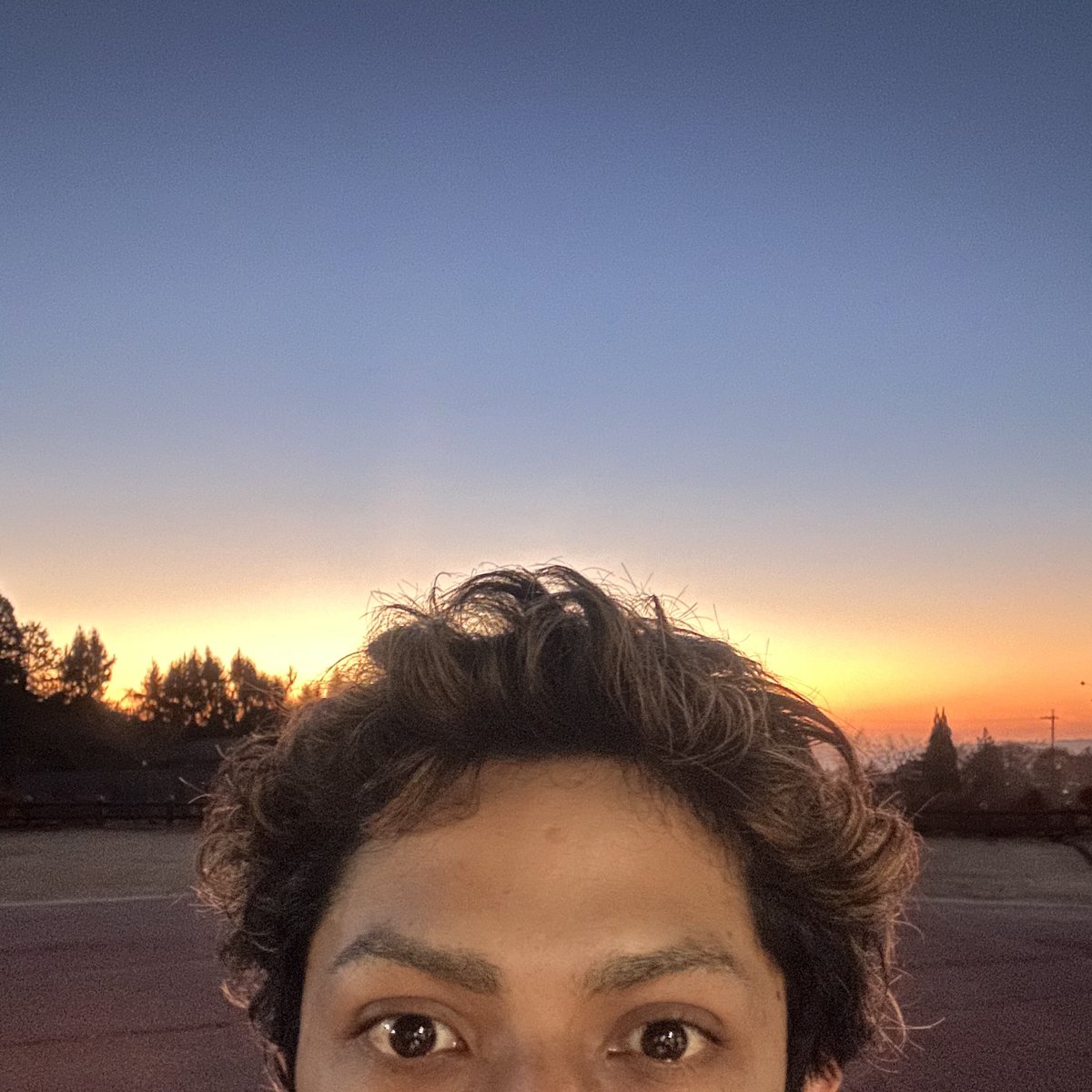 もんちゃんFSD (@bakagajin) / Posts / X