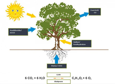Cathrien29's tweet image. Hoe zou dat voelen?
Dat je reeds gereed zijnde oplossing voor een door jouw gecreëerd probleem door reacties vanuit het volk eindelijk gepresenteerd en geïmplementeerd kan worden? 🤔 

#ProbleemReactieOplossing

Byebye boom, byebye leven