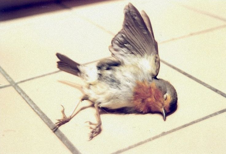 Getting exactly what you wanted but not in the way you wanted it