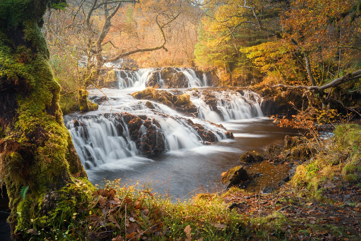 Avich Falls, Dallavich #Argyll #Scotland #LochAwe damianshields.photoshelter.com/p/2026-calendar