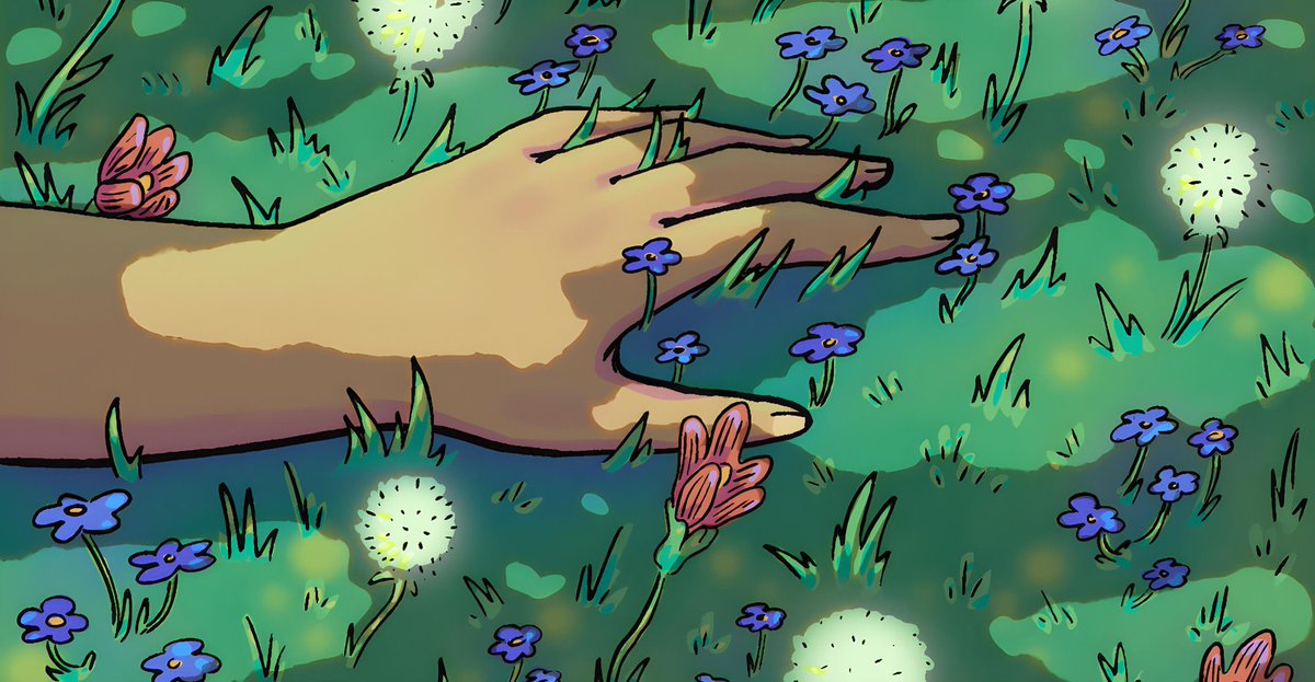 Only Layer tweet media