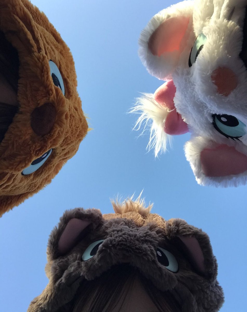 この時期のディズニーだぁぁぁいすき またはやく行きたい