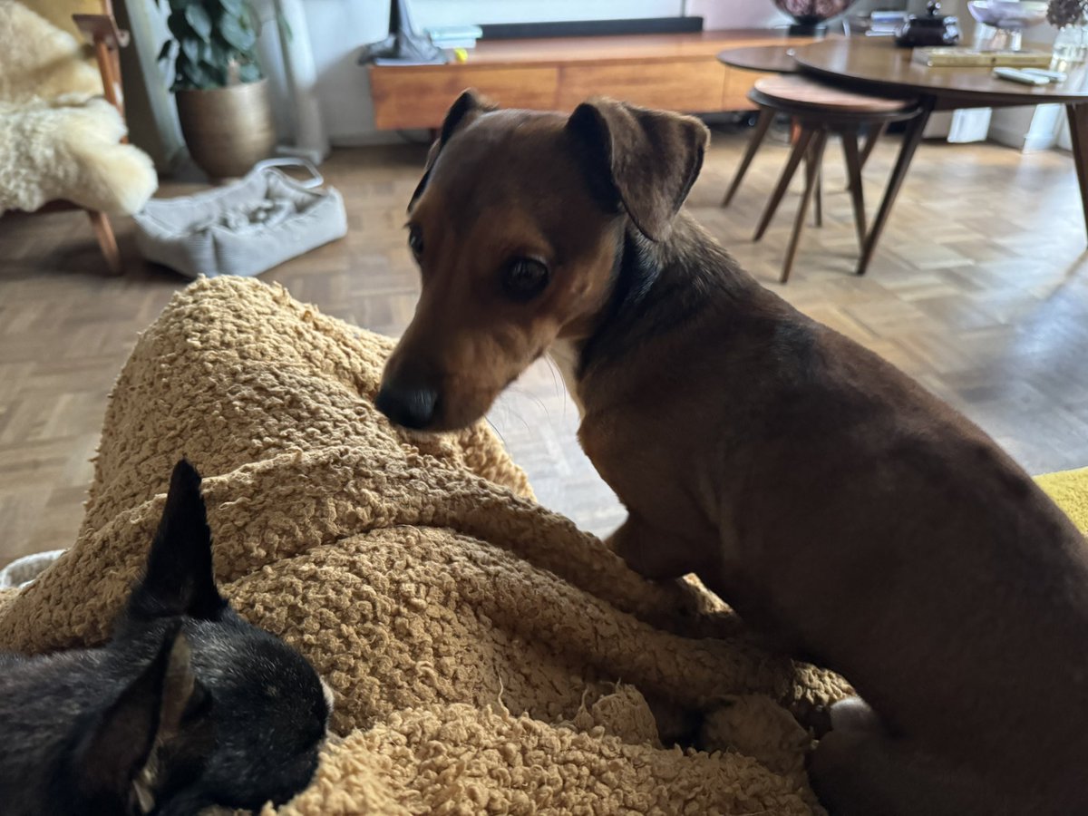 Ingesloten!
Op dat ik maar niet vertrek. 

#zijningoedehanden
#zijnheternietmeeeens