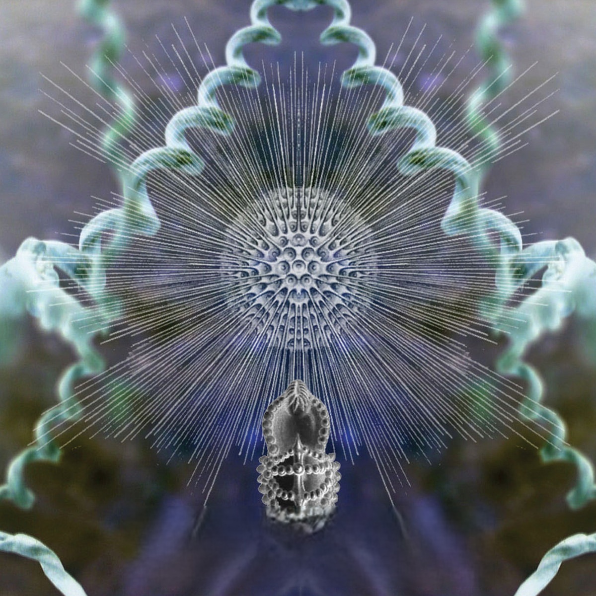 Amidst the Circling Spires by Alio Die &amp; Sylvi Alli
Portland: Projekt, 01.21.2014 56mins
#VoicesFromTheDeepForever Gorgeous flowing ethno-ambient and mystical found-sounds, with gentle-soft careful multi-faceted vox drifting in and out. youtube.com/watch?v=jJibJz…