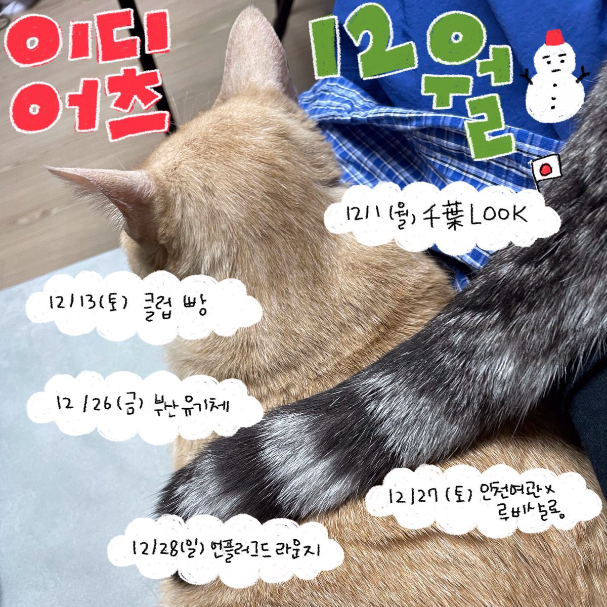 band_idiots's tweet photo. 이디어츠의 12월 예정 스케쥴을 알립니다 👻💜 https://t.co/m4XqK3bFQ5